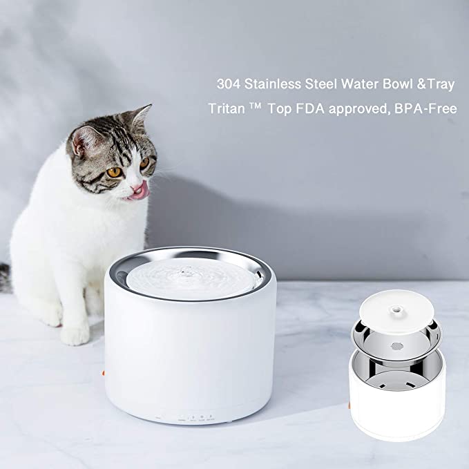En este momento estás viendo Características que debes buscar en un dispensador de agua para gatos